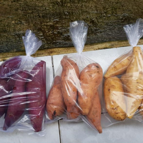 PROMO Ubi Ungu | Madu Cilembu | Ubi Merah Organik 500 Gr Segar Bogor