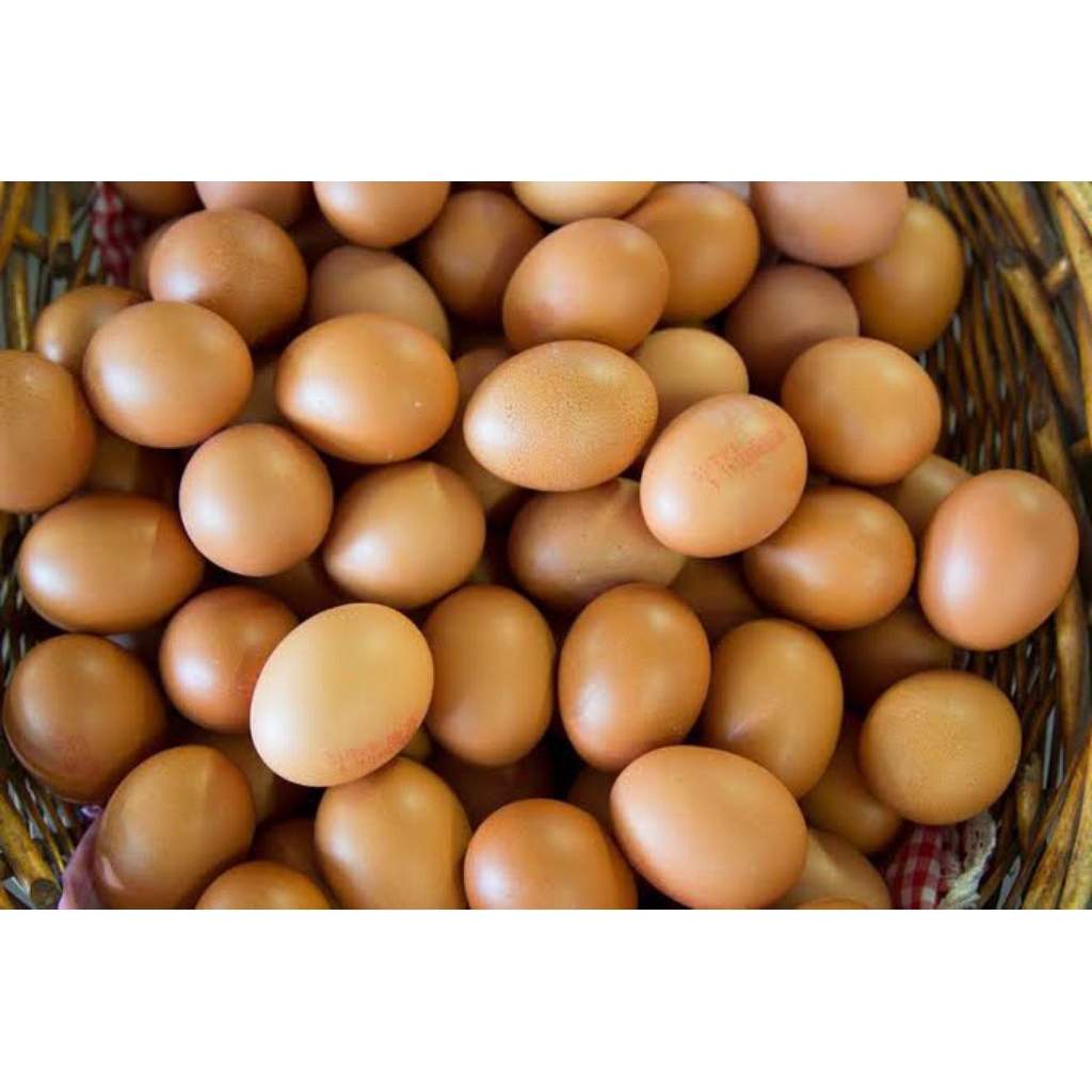 Telur Ayam 1kg , Telur Horn Cangkang coklat