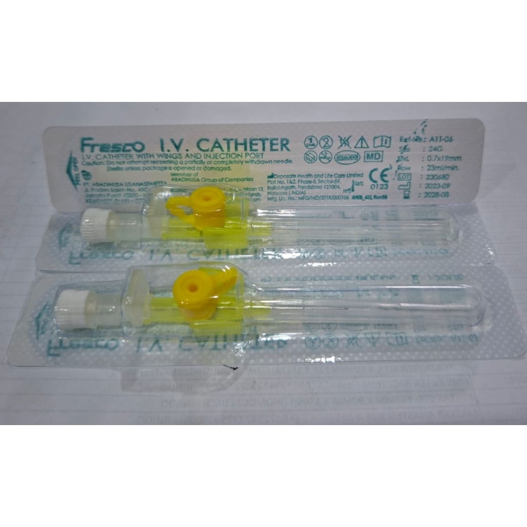 IV CATHETER W/WING & INJECT PORT 24G - FRESCO 100BH