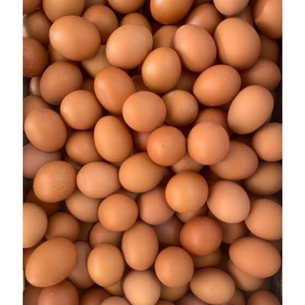 Telur Ayam 1kg