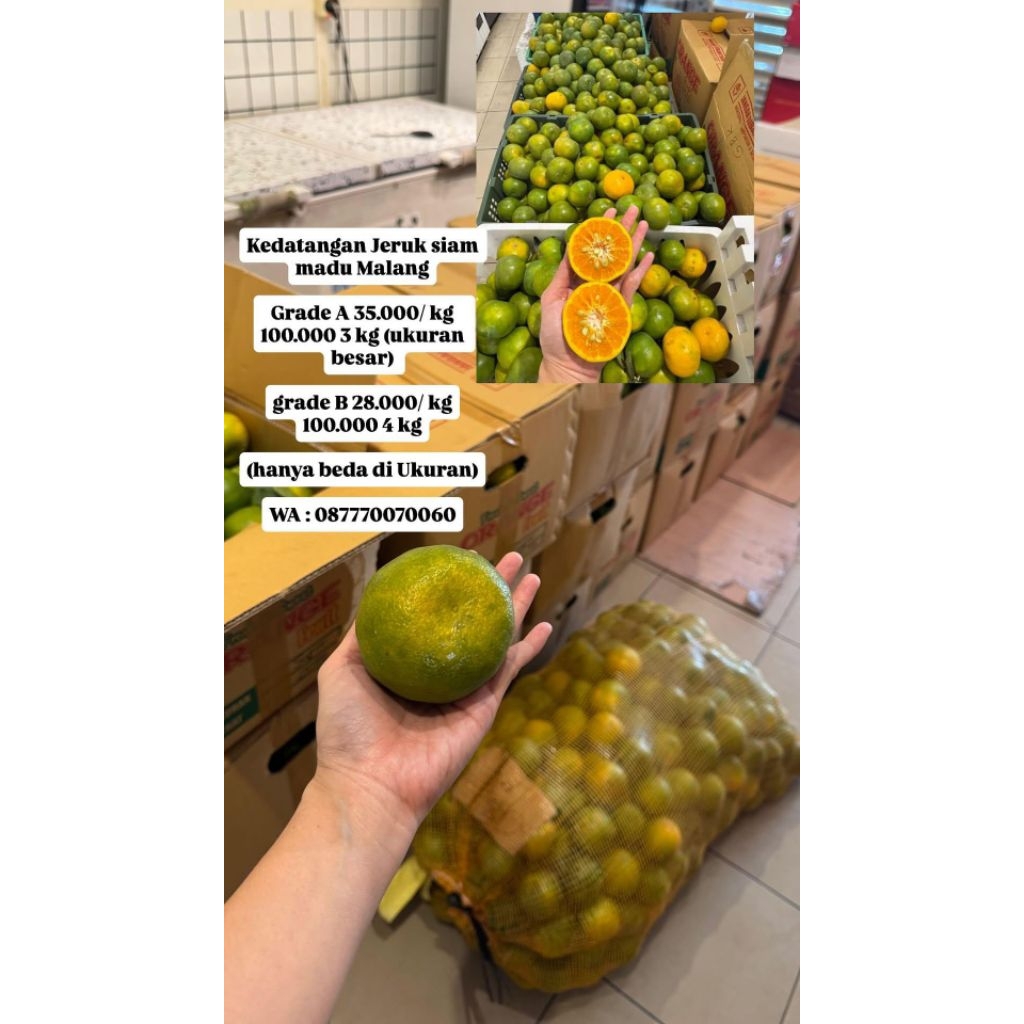 JERUK SIAM MADU MALANG GRADE A