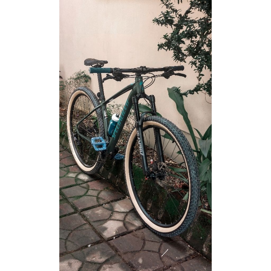 Specialized Rockhopper Hardtail