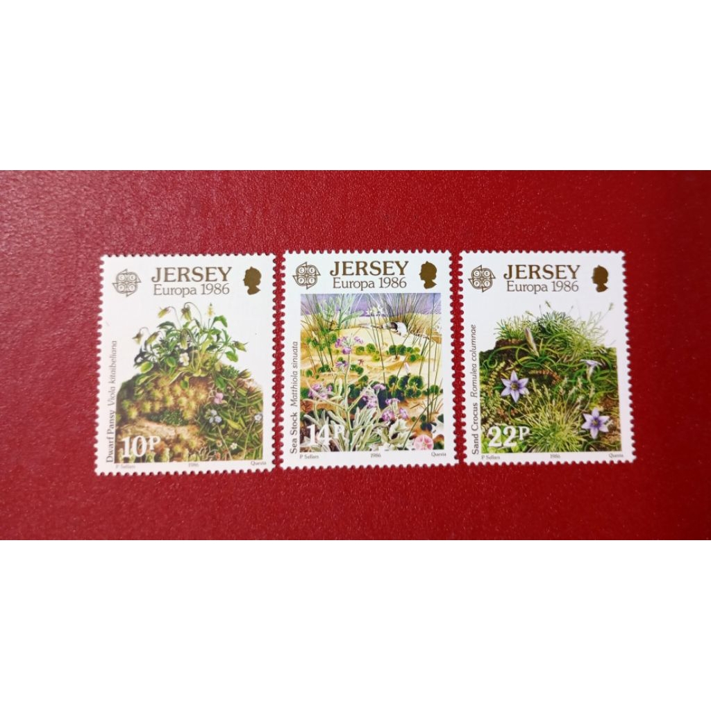PRANGKO JERSEY EUROPA 1986