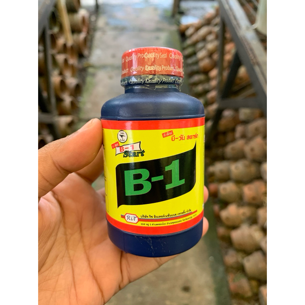 B1 Thailand