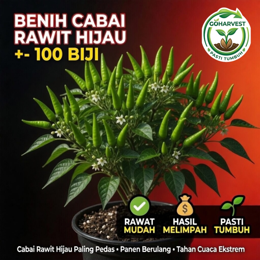 GoHarvest Benih Cabai Rawit Hijau Unggul - Bibit Cabe Rawit Hijau Lalap Tahan Virus - Biji Lombok Ke