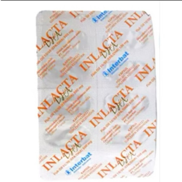 inlacta DHA//vitamin ibu hamil//perstripp