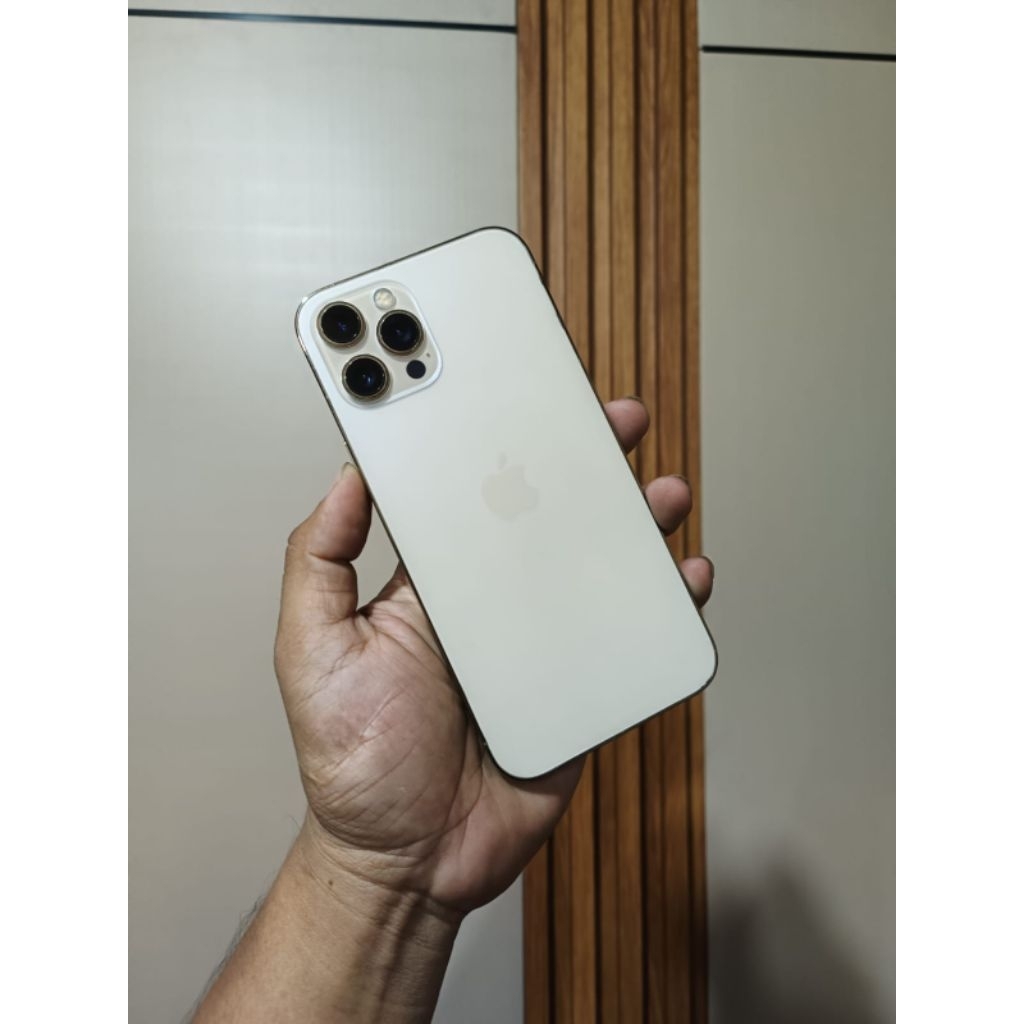 Iphone 12 Promax 256 GB bypass