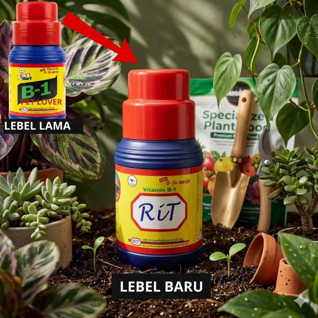 Pupuk Vitamin B1 500ml RIT Pupuk Tanaman B1 Anti Stres Ori Thailand