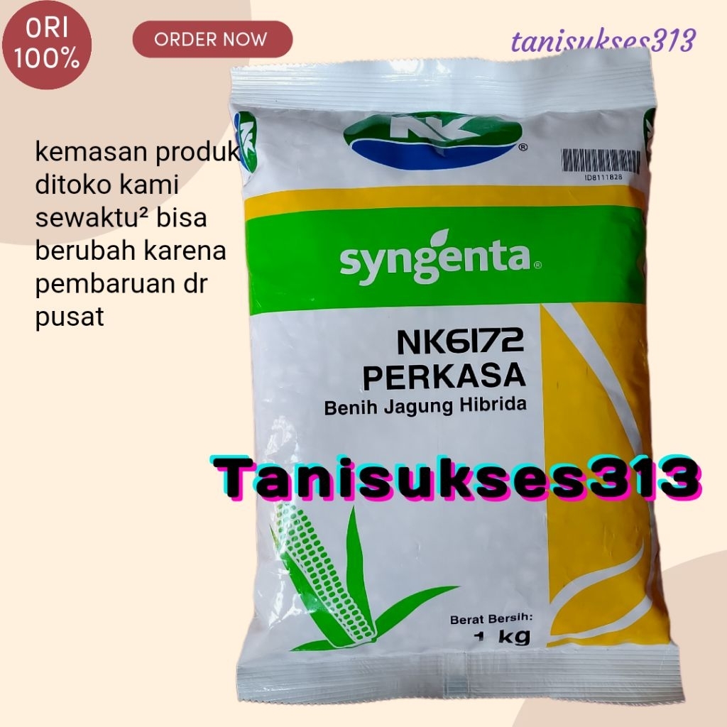 Benih jagung patriot pertiwi6 pioner p40 dan nk perkasa 6172 1kg bibit jagung hibrida p40 1kg benih 