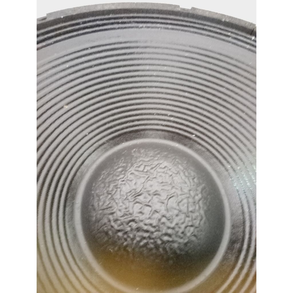 Speaker 18 inchi Wisdom18p550