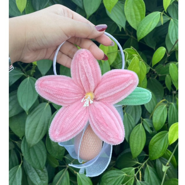 Bunga Telur Gantung | Pokok Telok | Bunga Telur