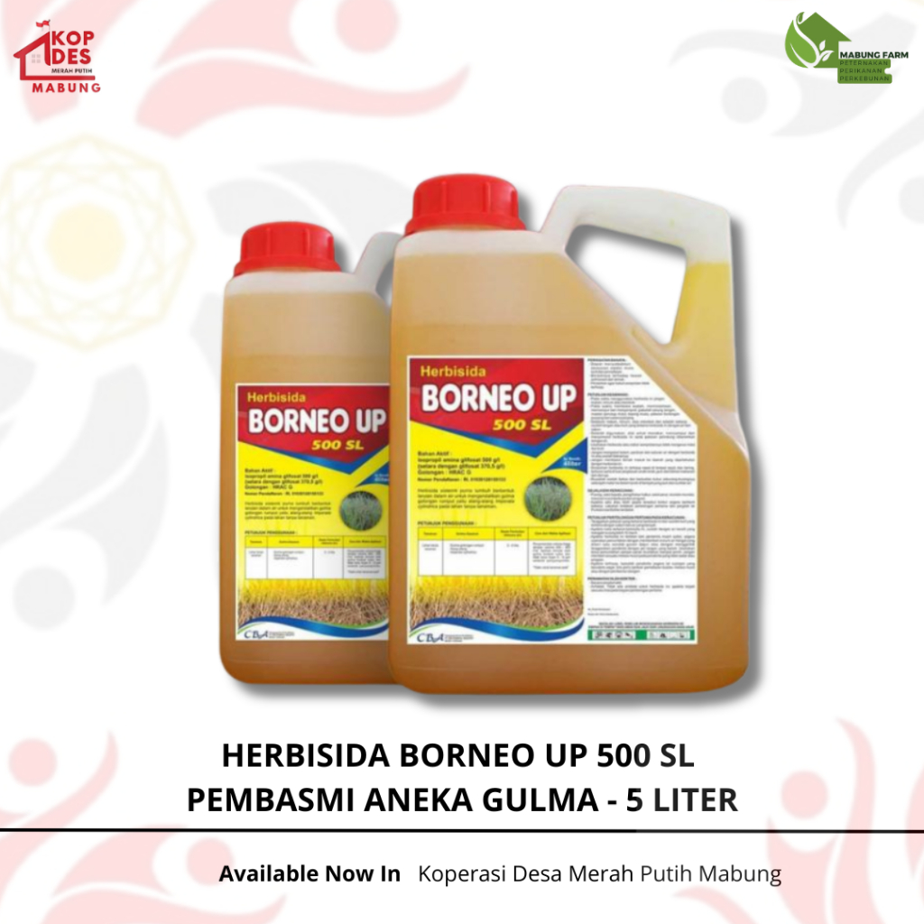 HERBISIDA BORNEO UP 500 SL PEMBASMI ANEKA GULMA - 5 LITER