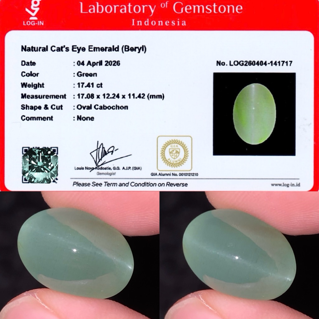 17,41 cts Rare Natural Cat's Eye Emerald Beryl None Oil Memo LOGIN