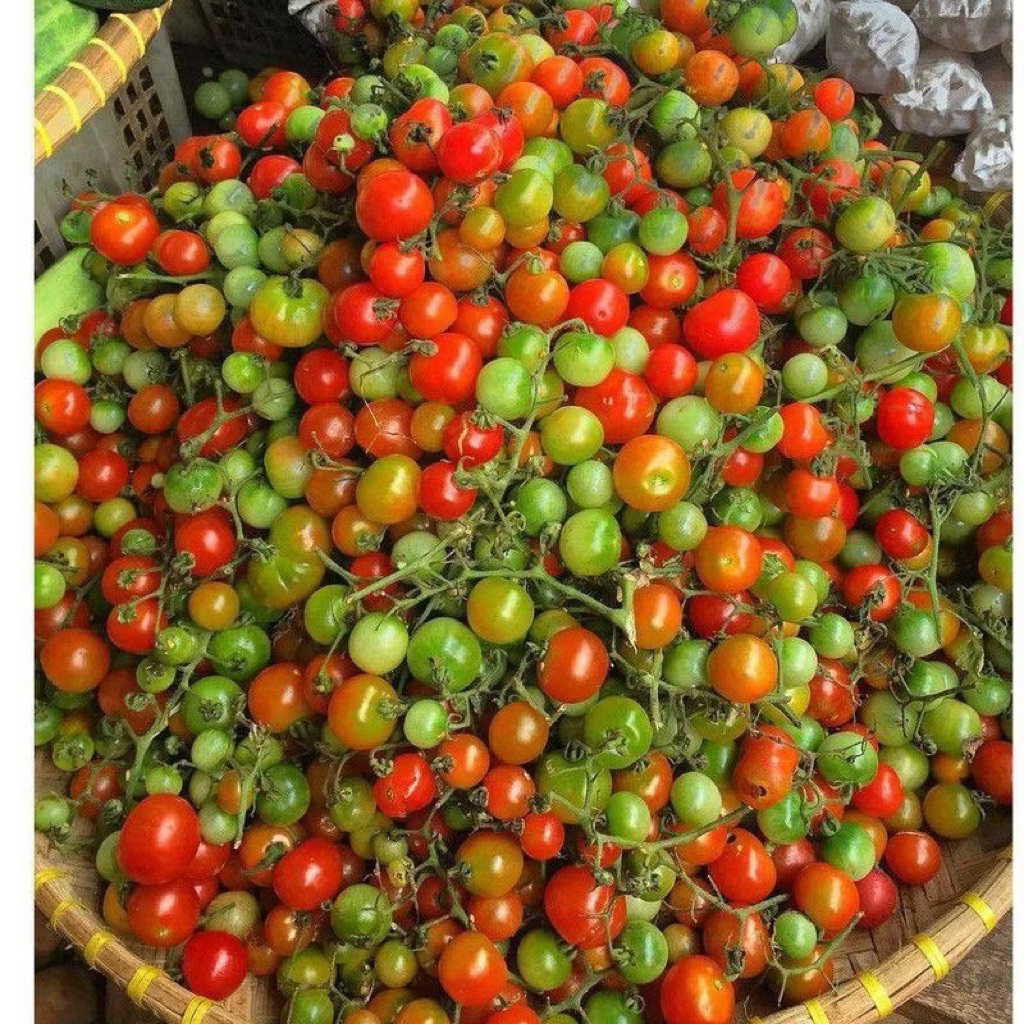 Tomat Rampai Dari Lampung 500gr