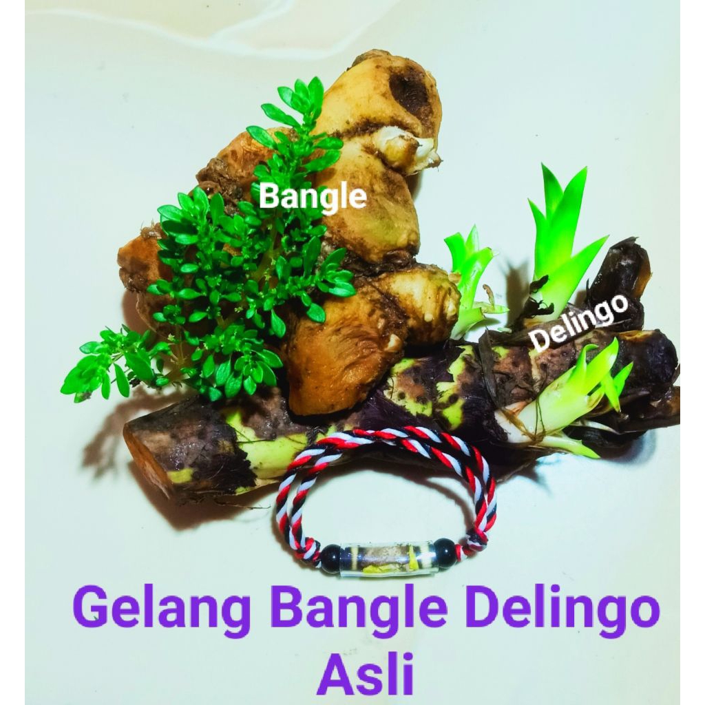 PROMO" Gelang asli bangle delingo / delingu
