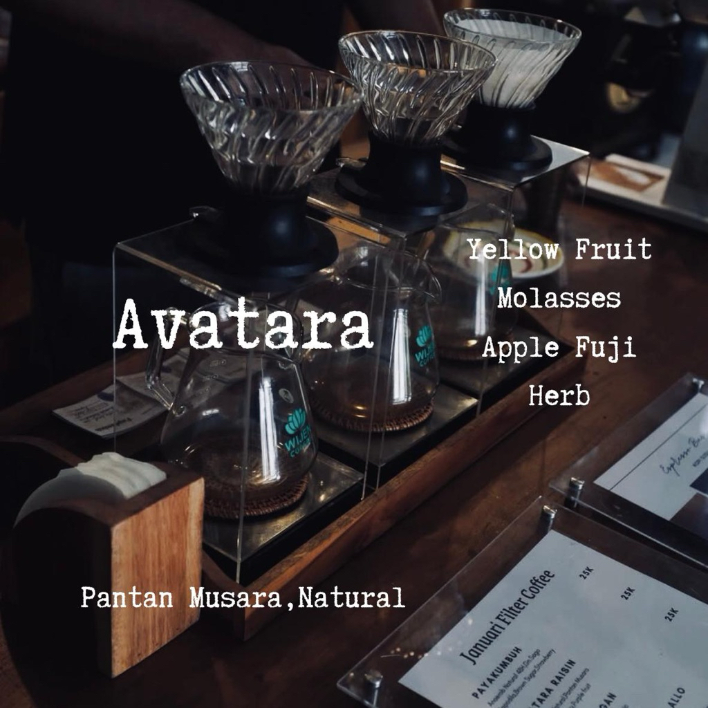 Kopi Arabika Gayo Avatara
