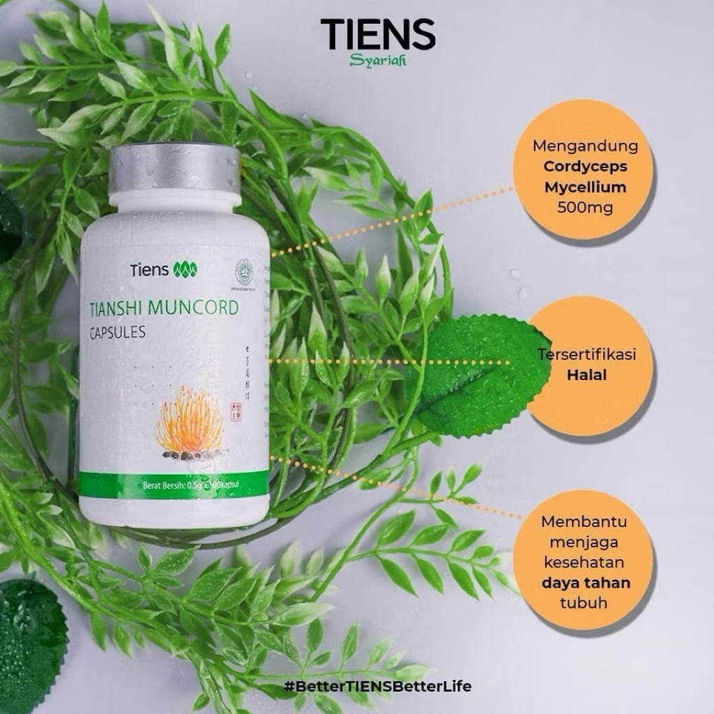 Muncord tiens Cordyceps 100 Kapsul Segel