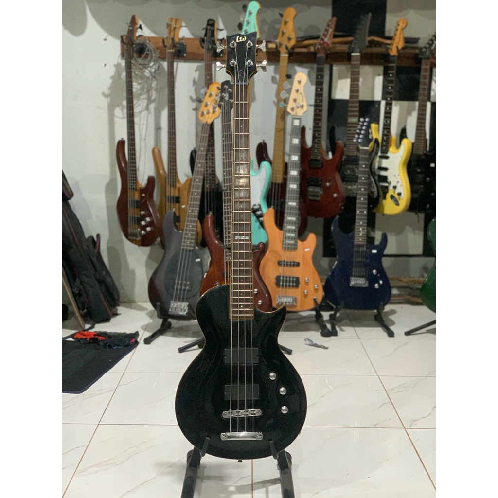 bass LTD EC 254 AT original aktiv
