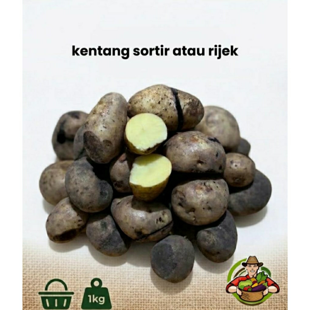 KENTANG SORTIR BS/RIJEK 1Kg