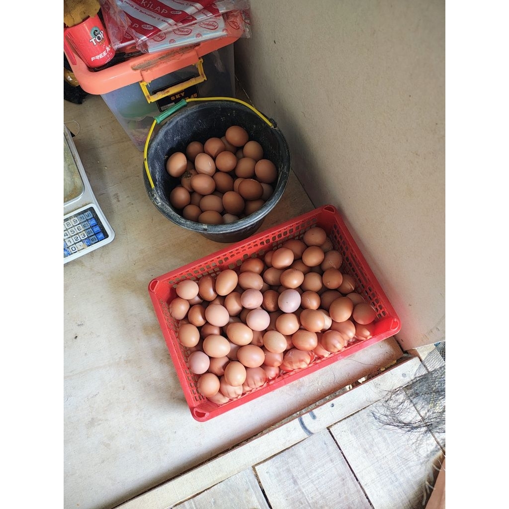 Hisyam farm