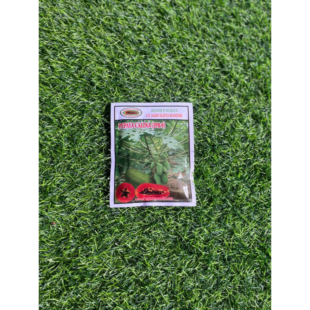bibit pepaya California/calina ipb9 premium