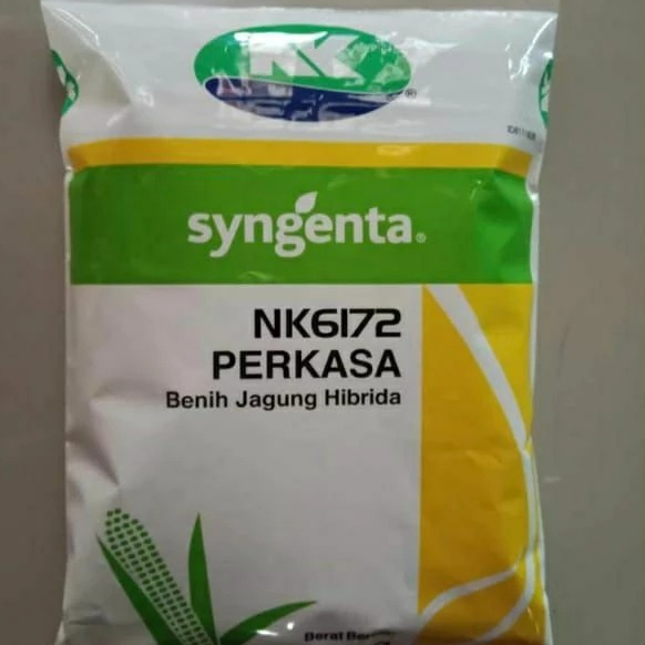 Benih JAGUNG HIBRIDA NK 6172 PERKASA 1KG #bibit jagung#jagung perkasa#bibit nk perkasa