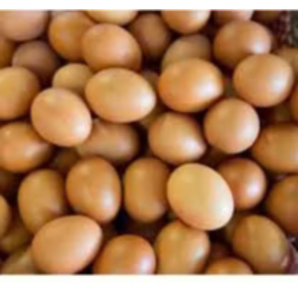 (Agen Telur) Telur Ayam Negeri 1Kg Fresh dan Segar Promo Murah Instant