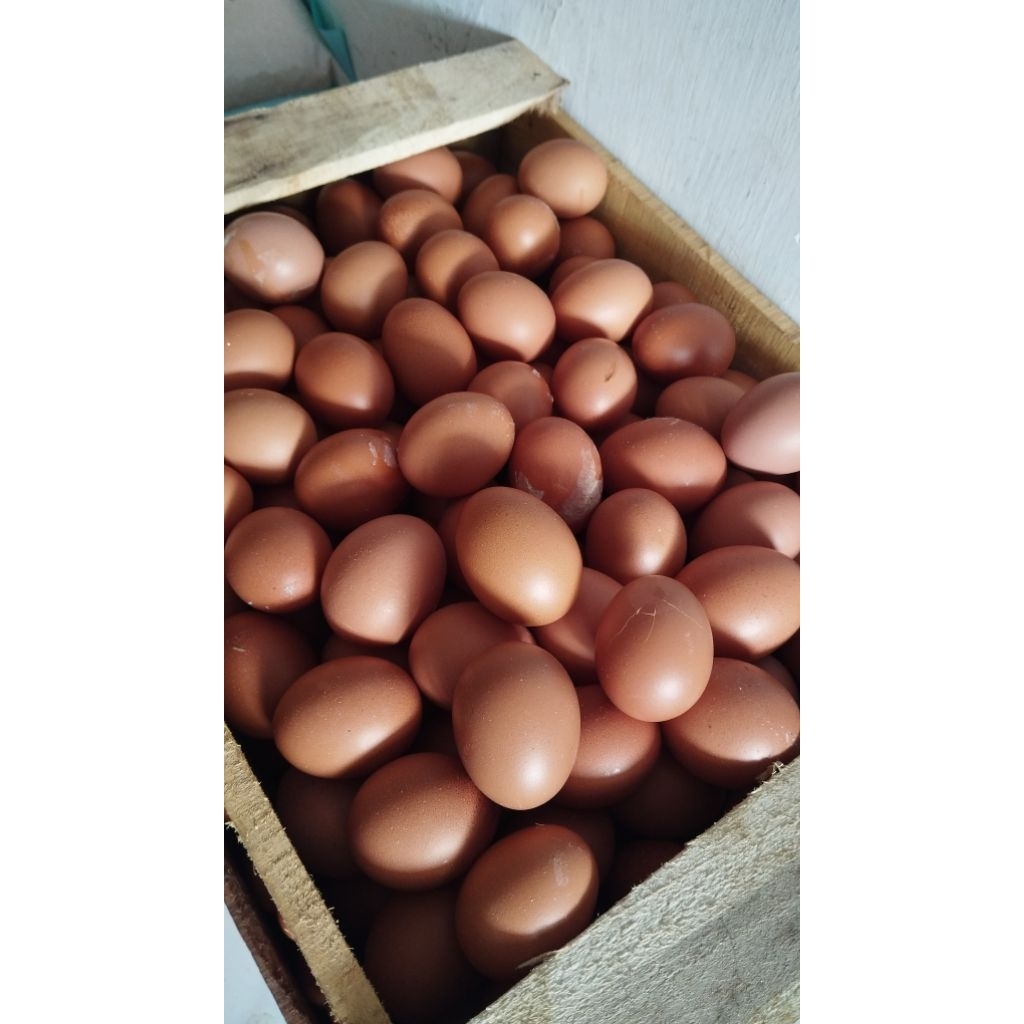 Telur Ayam Negeri 1kg -  INSTAN KOTA BATU
