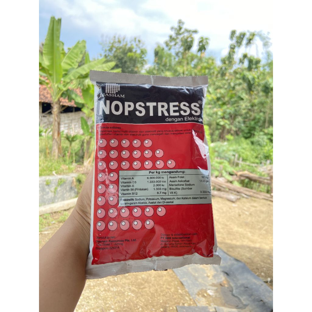 NOPSTRESS 1 KG elektrolit