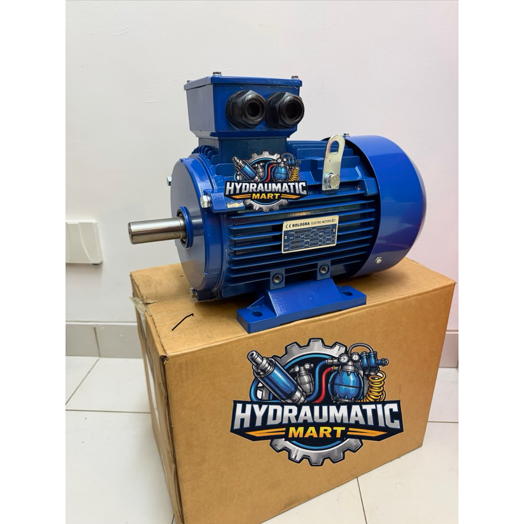 BOLOGNA 3 Phase Electric Motor 5,5 HP / KW