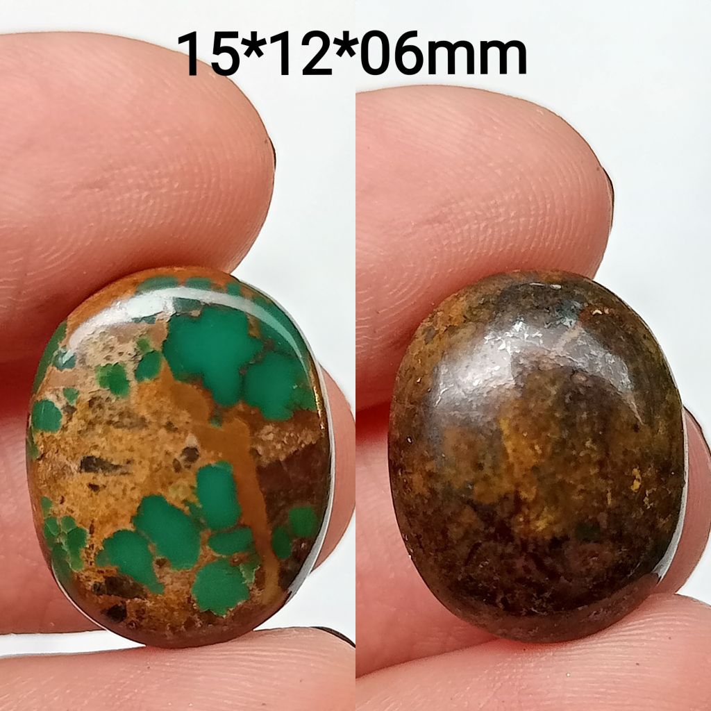 pirus Persia hijau kedondong urat emas A(17)