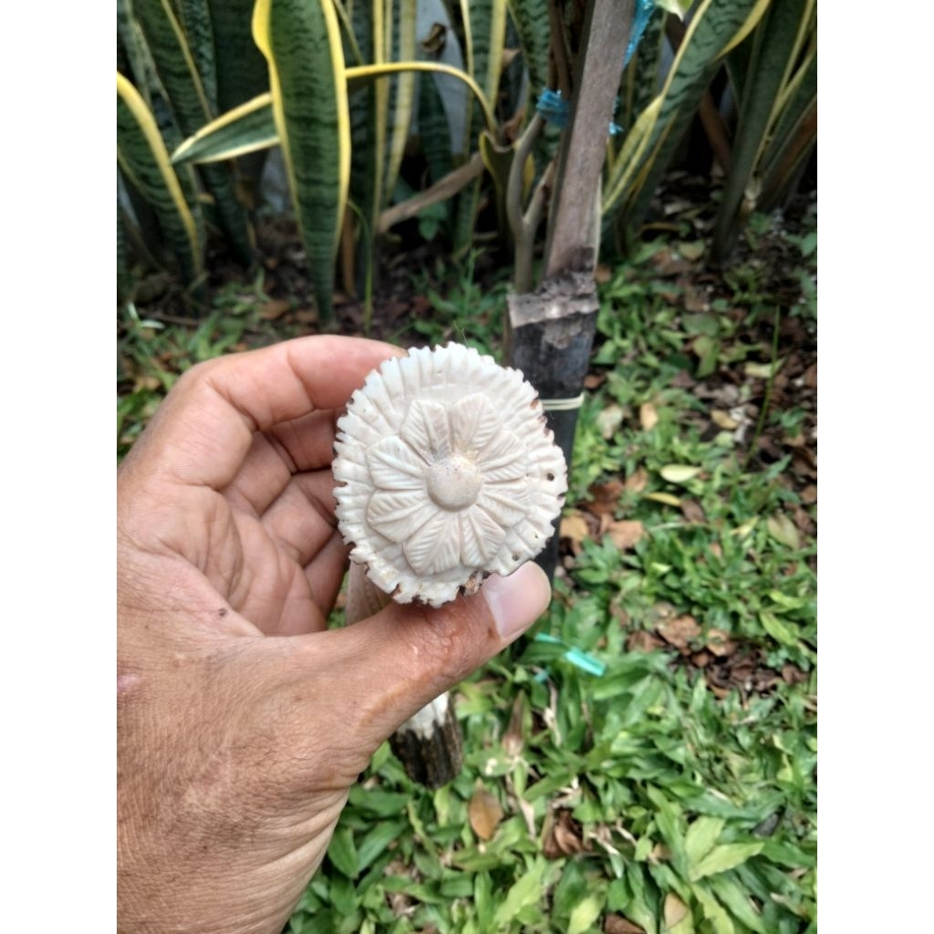 koleksi ukir 3d bahan asli tan rus ukir motif kepala suku dan khodamnya
