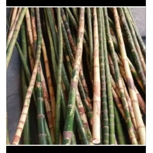 Batang waregu joran pancing