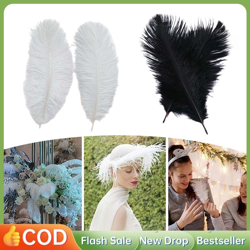 2pcs Bulu Bulu Aksesoris 38-45 Cm Bulu Burung Bulu Burung Unta Bulu Ostric