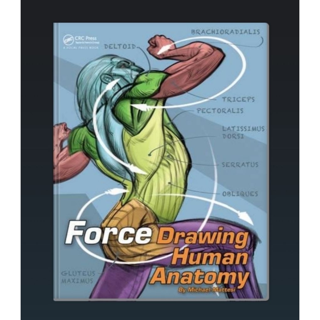 Force. Drawing human anatomy
