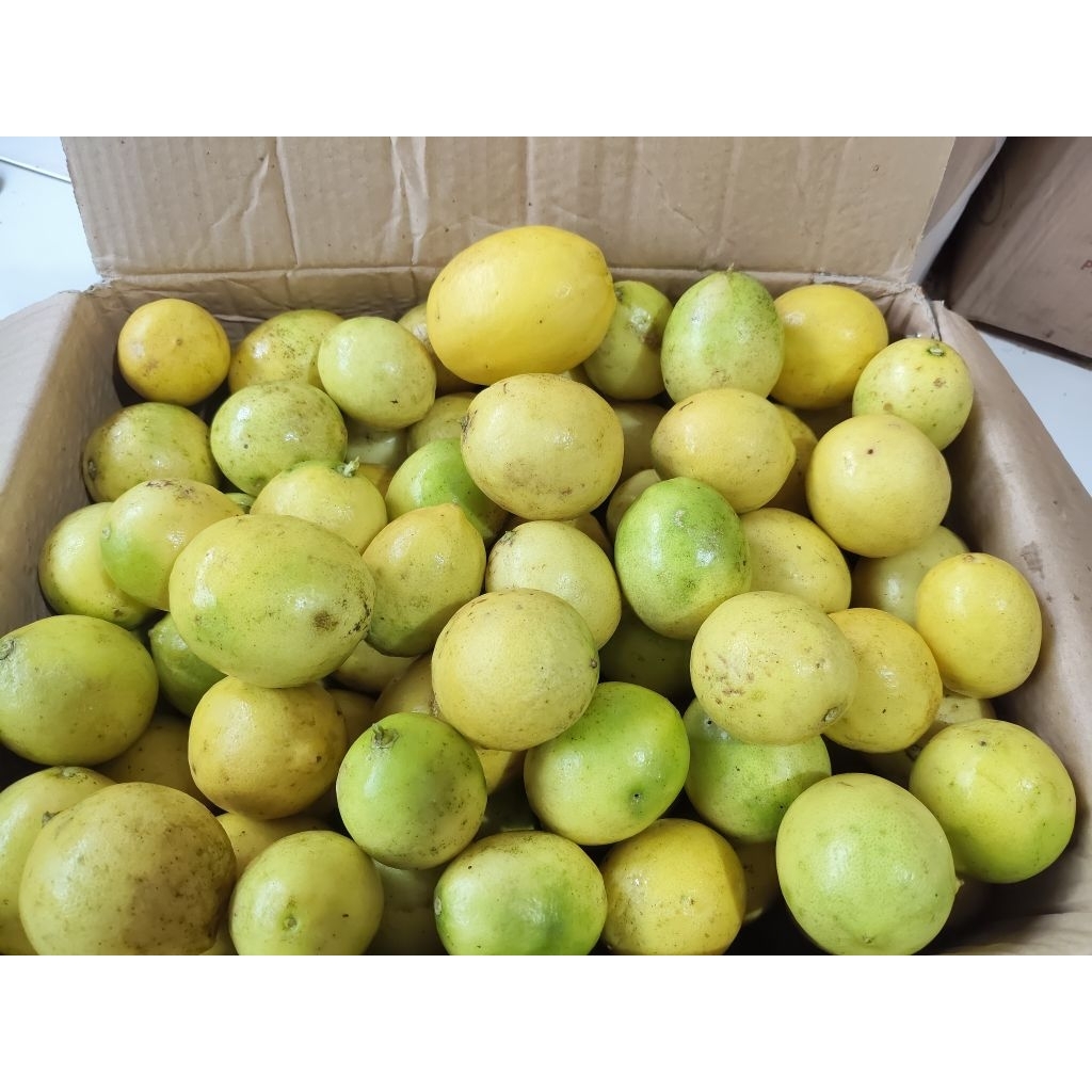 JERUK LEMON 1 Kg