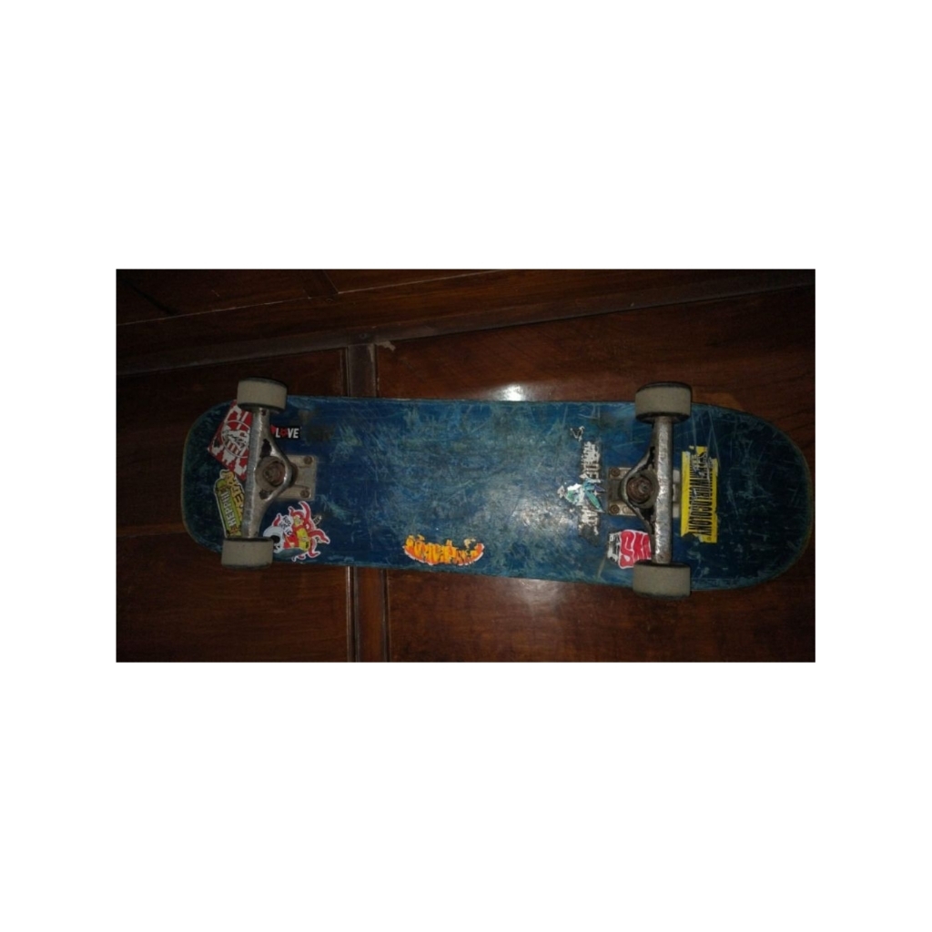 papan skate