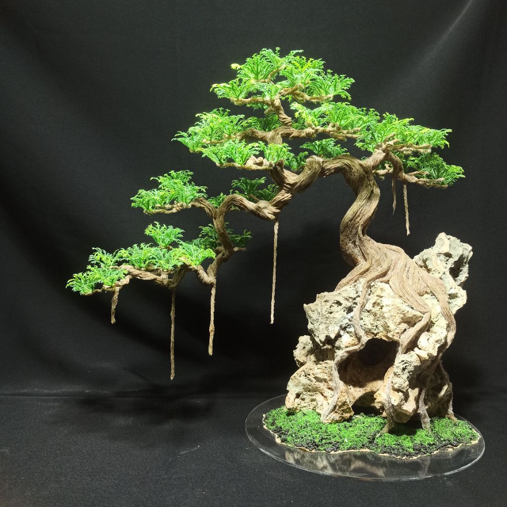 Bonsai diatas batu karang