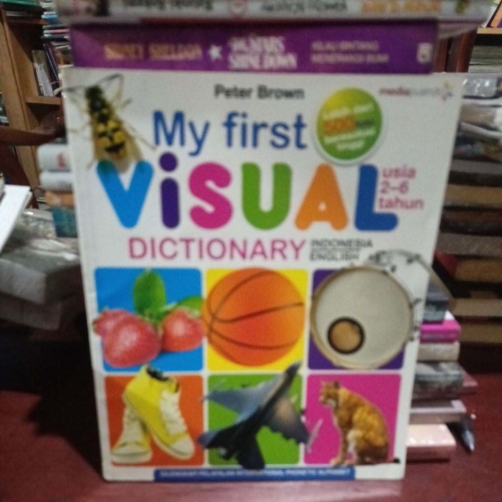 MY FIRST VISUAL DICTIONARY,INDONESIA - ENGLISH