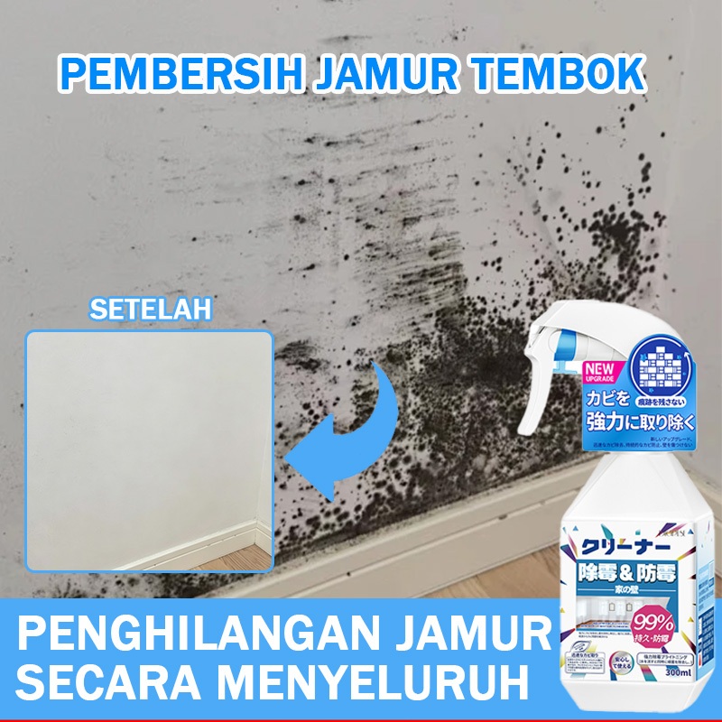 Penghilang jamur tembok lembab Pembersih jamur Cairan anti jamur tembok dan lembab Penghilang jamur 