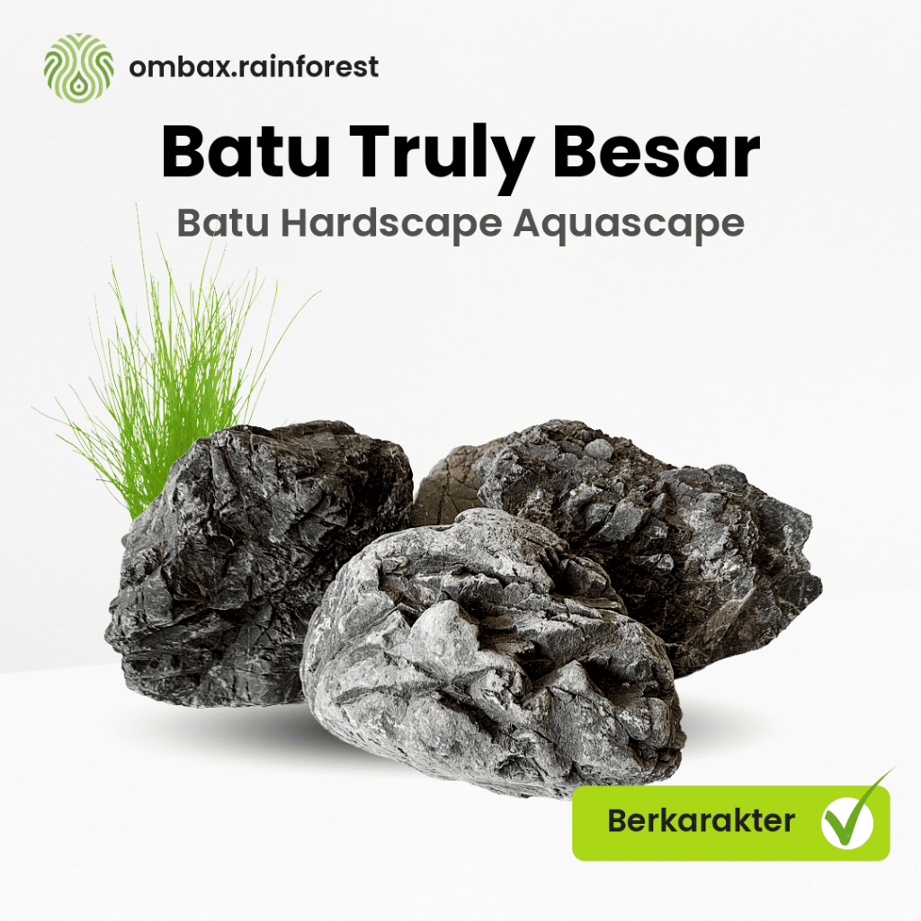 Batu Truly Besar / Turly - Dekorasi Aquascape / Aquarium