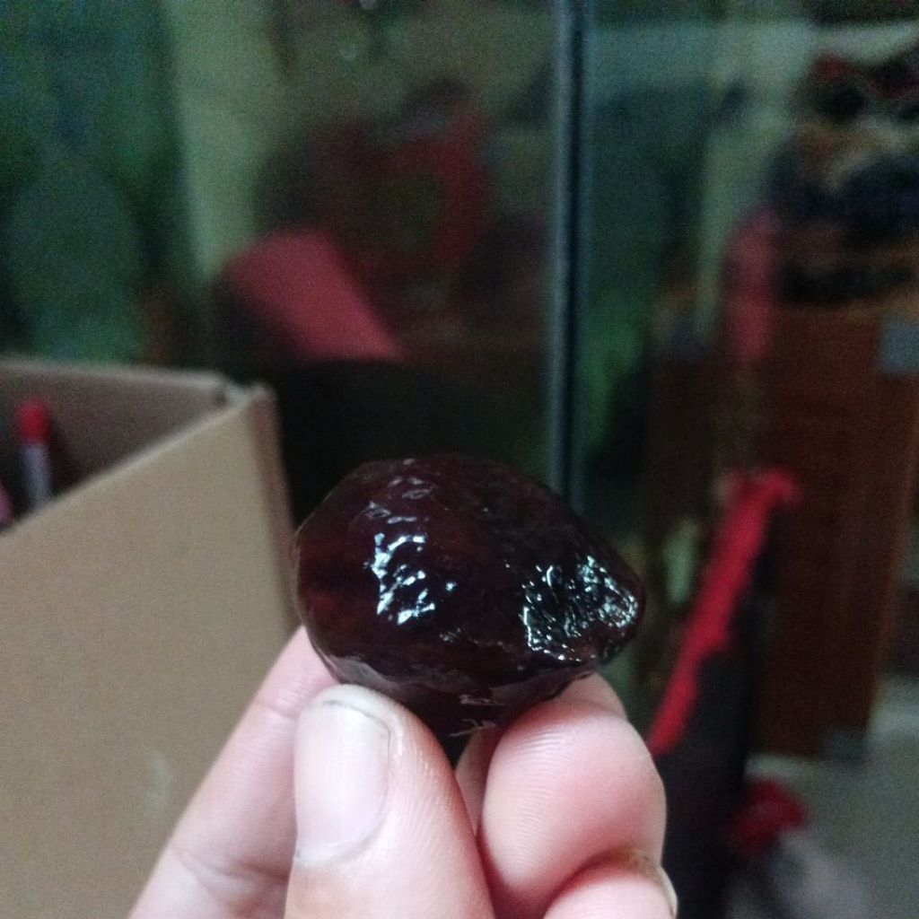 muncang adu panjangan mantili