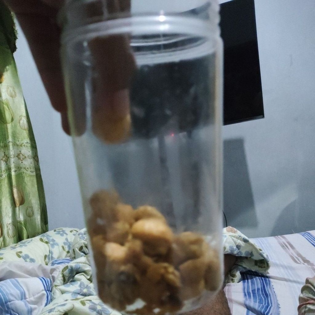 Keripik Usus Ayam Crispy Original Grosir
