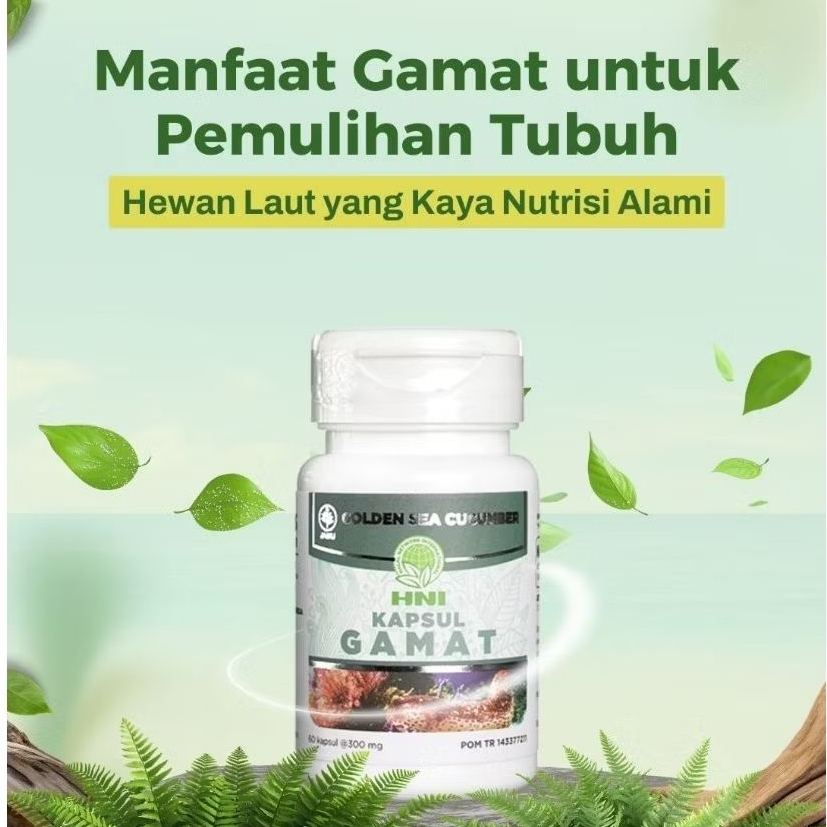 kapsul Herbal GAMAT TERIPANG EMAS HNI 60 KAPSUL