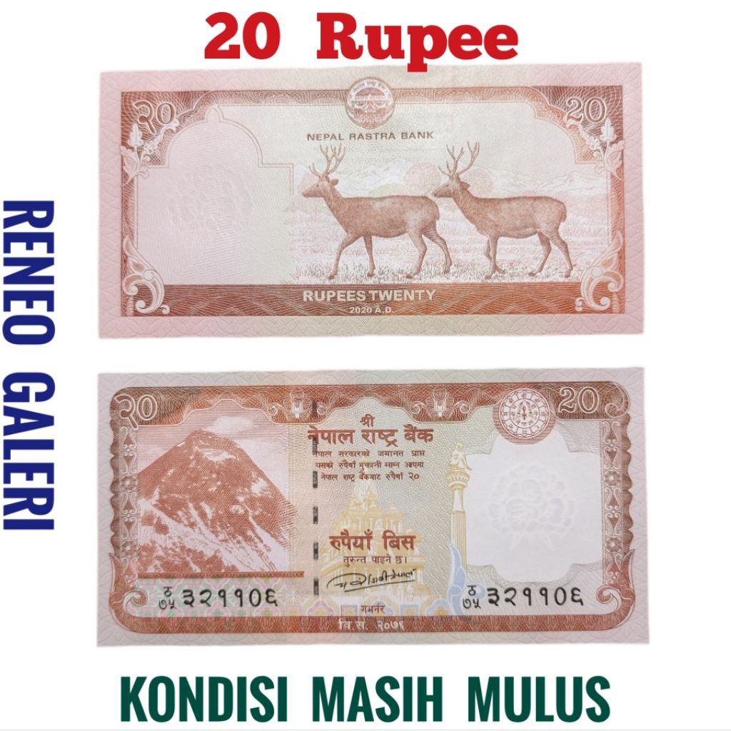 Mulus 20 Rupee Nepal Tahun 2020 Uang Asing luar Negeri Gress asli original