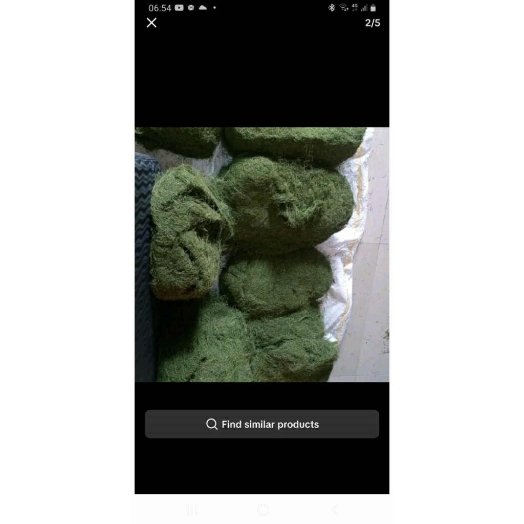 Cemilan Daun Hijau Gayo 100 gram (L100)