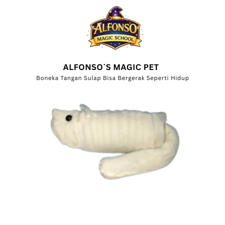 Alfonso's Magic Pet
