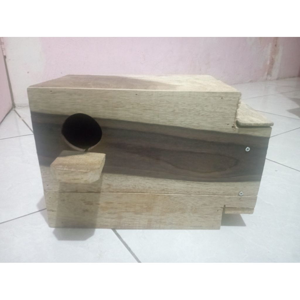 Gowok kaca burung lovebird dan parkit
