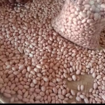 Kacang Tanah Mentah *TOKO SEMBAKO MURAH HARGA GROSIR PARTAI*