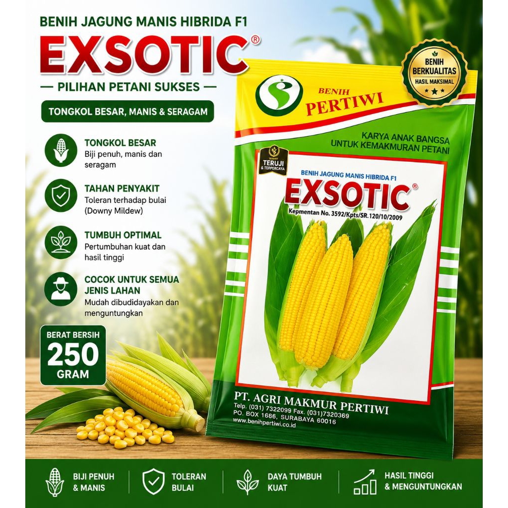 Jagung manis exotic (250gr)
